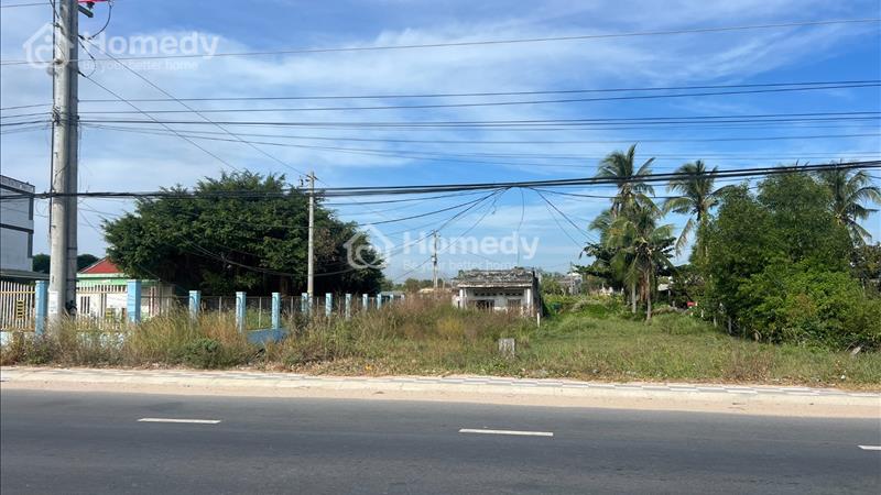 Bán đất 10x44 Nguyễn Chí Thanh, Tân Bình, Thị xã La Gi - Bình Thuận giá 4.50 Tỷ - Ảnh 2