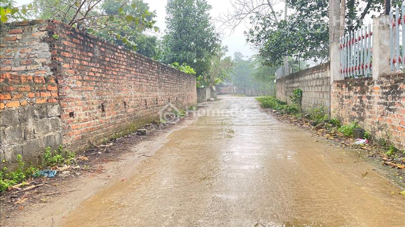 Bán 135m đất ở+vườn tại Hoàng Văn Thụ-Chương Mỹ-HN Giá rẻ - Ảnh 2