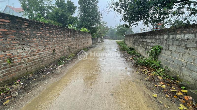 Bán 135m đất ở+vườn tại Hoàng Văn Thụ-Chương Mỹ-HN Giá rẻ - Ảnh 3