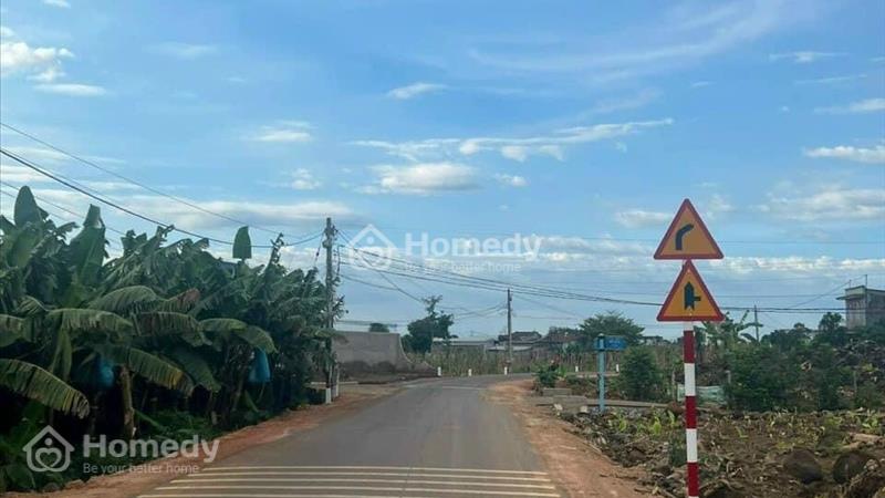 Cần bán 50x40, 2000m2 - An Binh Phú Giáo BD. SHR có 500m TC giá 8tỷ2 - Ảnh 1