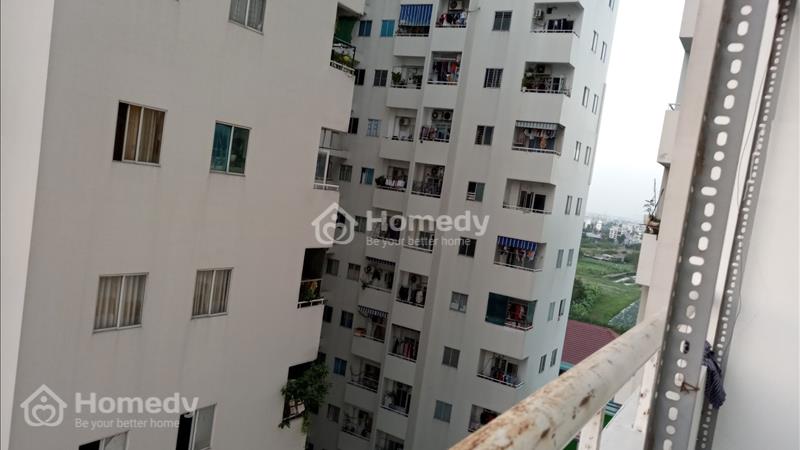 Chính chủ cho thuê nguyên căn hộ riêng tư Lê Thành Tân Tạo (căn góc) - Ảnh 12