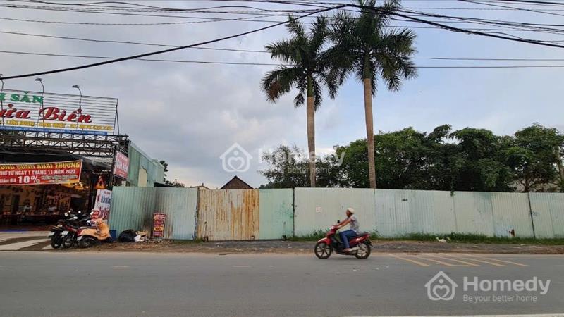 Bán đất Thành phố Thuận An - Bình Dương giá 29.00 Triệu - Ảnh 3