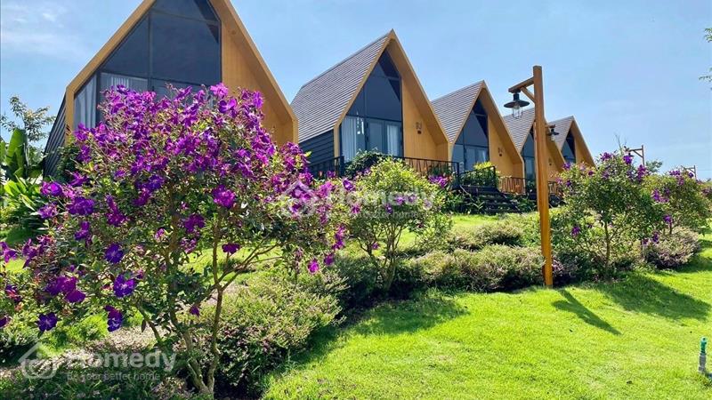 Bán đất Bảo Lộc ngay điểm xuống CT Dầu Giây - Liên Khương giá chỉ 450tr sổ sẵn, thổ cư!! - Ảnh 1