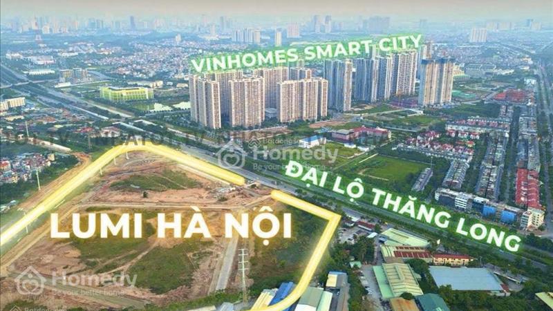  BooKing  Siêu phẩm đăc biệt  Penthouse/Duplex  Lumi HN CDT Capital land  ( phiên bản giới hạn) - Ảnh 3
