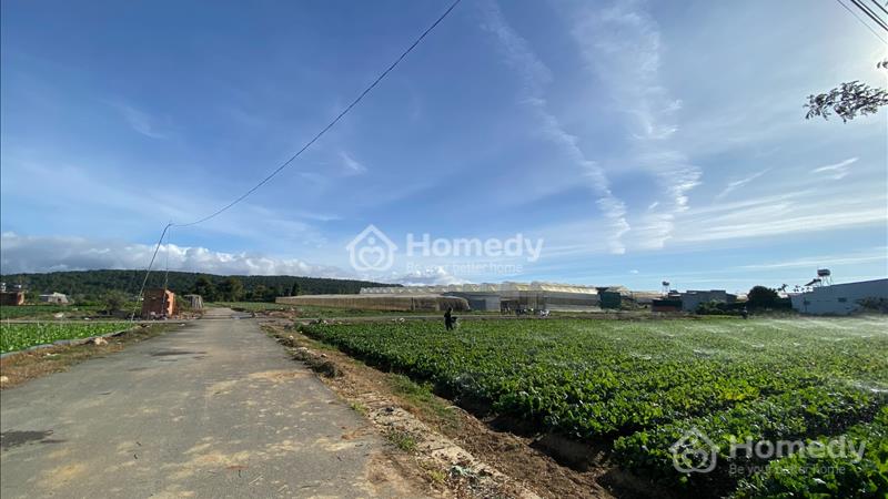 Bán đất Huyện Đơn Dương - Lâm Đồng giá 1.25 Tỷ - Ảnh 2
