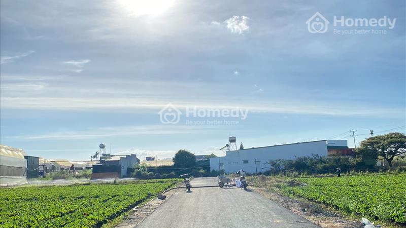 Bán đất Huyện Đơn Dương - Lâm Đồng giá 1.25 Tỷ - Ảnh 4