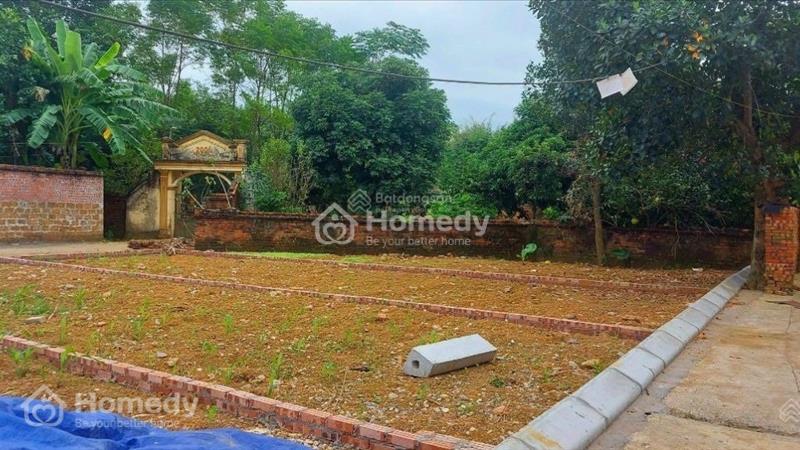 Chính chủ cần bán gấp đất 80m2 ở Thạch Thất, Hà Nội giá 2.x tỷ - Ảnh 3