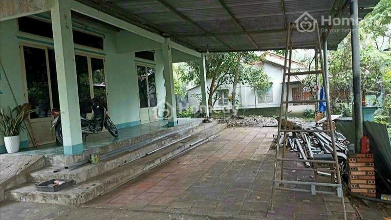BÁN ĐẤT VƯỜN CÓ SẲN NHÀ CẤP 4, VƯỜN CÂY ĂN TRÁI XÃ NHUẬN ĐỨC - Ảnh 6