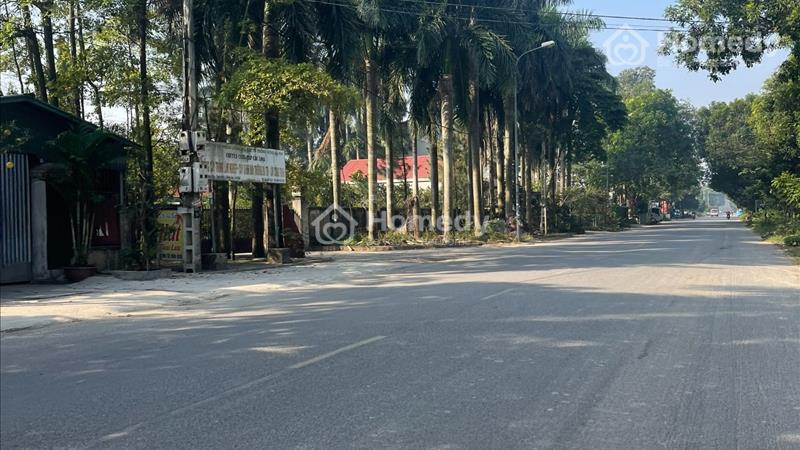 Rẻ nhất Đông Anh chỉ 1x triệu/m2 - Lô đất đẹp đường 2 ô tô tránh nhau - Ảnh 4