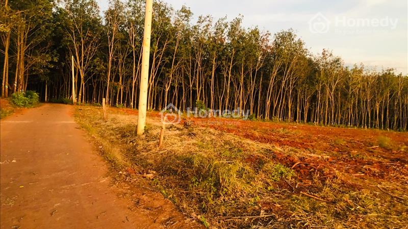 Bán đất Huyện Bù Đốp - Bình Phước giá 680.00 Triệu - Ảnh 2