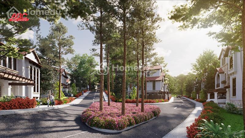 Từ 12 tỷ sở hữu ngay biệt thự cao cấp hàng đầu Vĩnh Phúc, Chiết khấu đón Tết gần 20% - Ảnh 3
