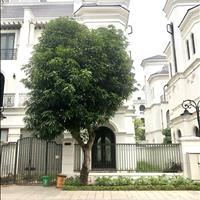 Bán nhanh căn biệt thự song lập trục sao biển 10, gần hồ Ngọc Trai, Vinhomes Ocean Park