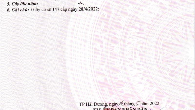Ngân hàng quân đội bán đấu giá thanh lý phát mại đất (tài sản thế chấp) tại Hải Dương, 2,07 tỷ - Ảnh 1