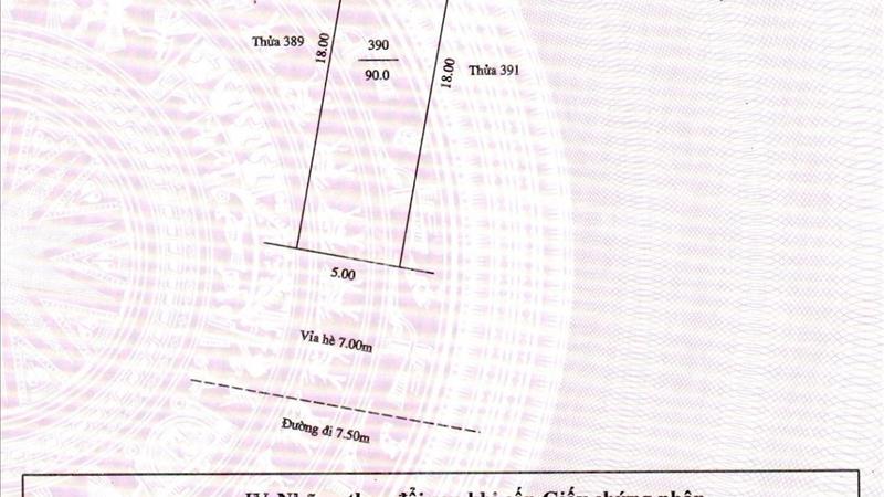 Ngân hàng quân đội bán đấu giá thanh lý phát mại đất (tài sản thế chấp) tại Hải Dương, 2,07 tỷ - Ảnh 2