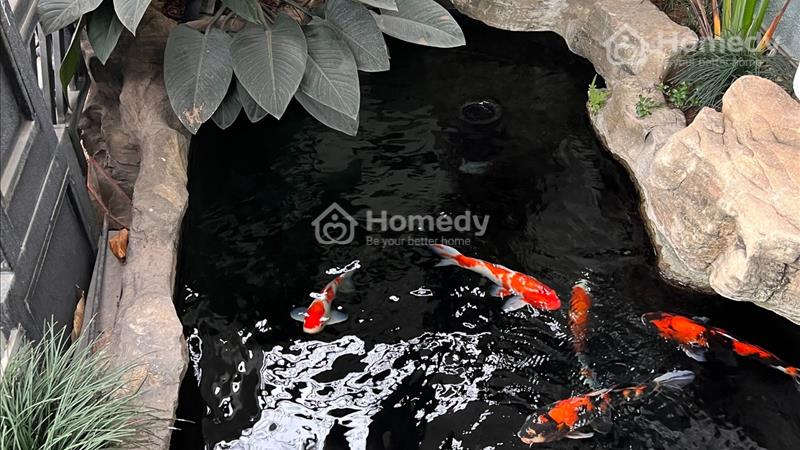 Tòa nhà Văn phòng mặt phố_Long Biên_200m2 6 tầng_Thang máy_Cho thuê 60 trđ - Ảnh 2