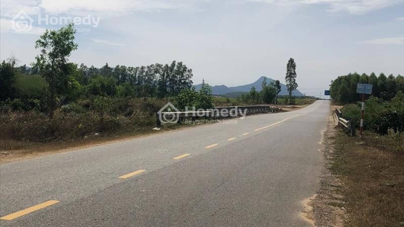 Bán 1.8 hecta đất Quốc Lộ 55 - Huyện Hàm Tân ngộp bank giảm 50% chỉ 110 triệu/m ngang  - Ảnh 3