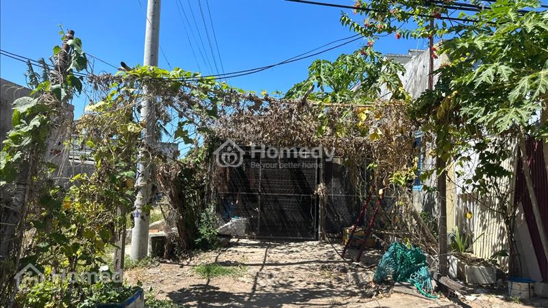 Bán 5 x 17 đất MT Võ Thị Sáu - TX LaGi giá đầu tư/ KDC Kinh doanh đông - Ảnh 5