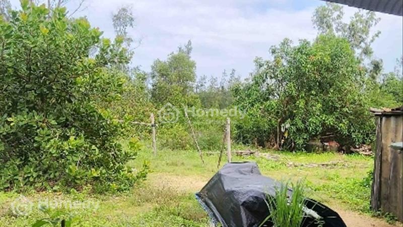 Bình minh - thăng bình - quảng - nam. Cần bán 1000m đất thổ cư view biển siêu đẹp hàng dân - Ảnh 2
