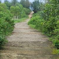 Bình minh - thăng bình - quảng - nam. Cần bán 1000m đất thổ cư view biển siêu đẹp hàng dân