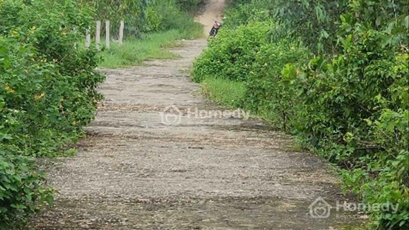 Bình minh - thăng bình - quảng - nam. Cần bán 1000m đất thổ cư view biển siêu đẹp hàng dân - Ảnh 1