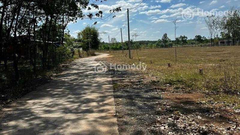 Bán sỉ - lẻ 38 nền đất sổ đỏ giảm giá 50% so với 2022 ngay Quốc lộ 13 - Ảnh 5