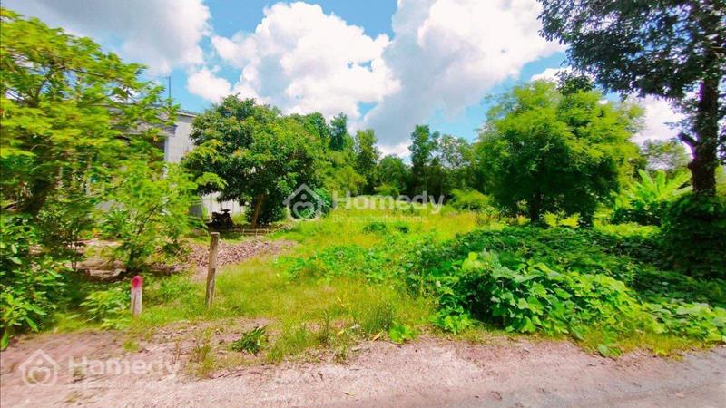[Chính chủ] Đất thổ cư Tây Ninh thanh lý giá rẻ - Ảnh 2
