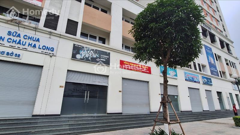 Quỹ căn shophouse tại Eurowindow River Park giá rẻ nhất thị trường chỉ với 6 tỷ xx đã bao phí - Ảnh 3