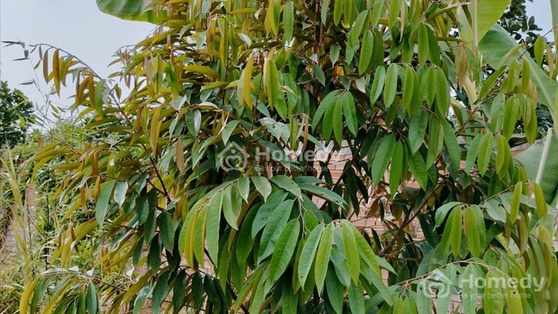 ....................Bán 2046m Thới An Quận Ô Môn................................................... - Ảnh 2