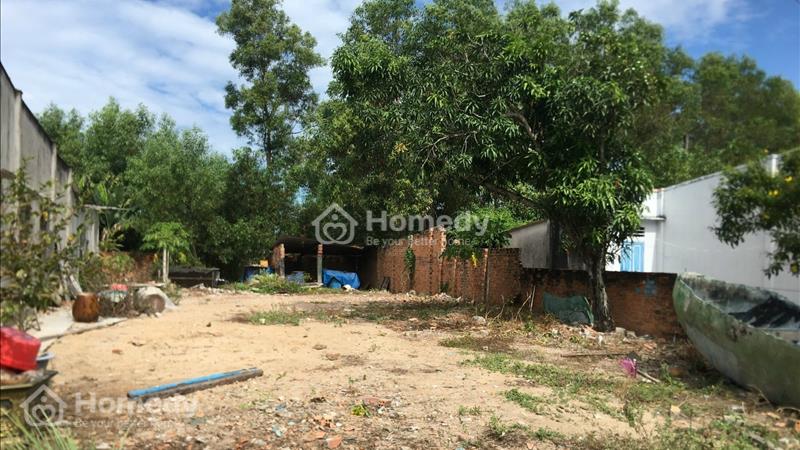 Chính chủ cần bán Mảnh Đất Tiềm Năng ven biển ở xã Tân Thắng, Hàm Tân, Bình Thuận. - Ảnh 4