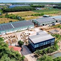 Cho thuê xưởng có chuyền sơn treo dài 700m tại Tân Uyên, Bình Dương