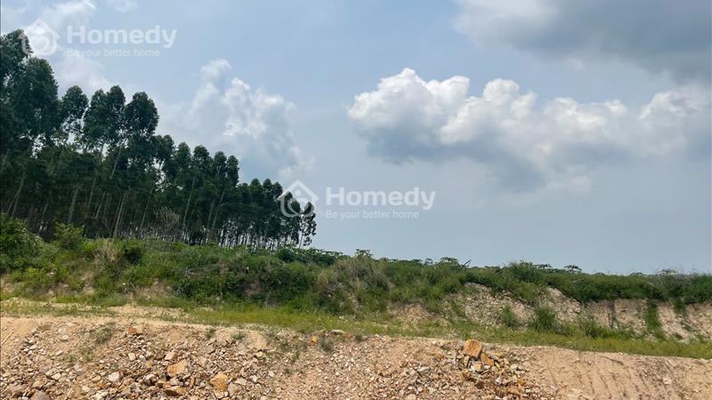 Đất 2007m2 giá ngộp Tân Bình - TX LaGi giá 700 triệu cách trung tâm 2.5Km - Ảnh 4