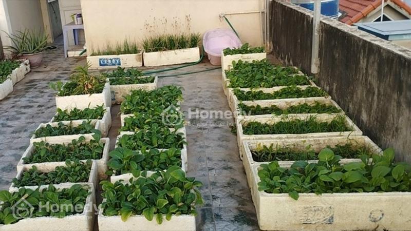 Cần bán gấp nhà đẹp 3.5 tầng, ngõ 97 Đoàn Kết, Đằng Hải, Hải An, Hải Phòng - Ảnh 12