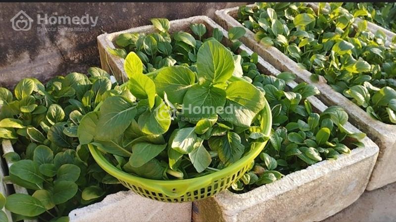 Cần bán gấp nhà đẹp 3.5 tầng, ngõ 97 Đoàn Kết, Đằng Hải, Hải An, Hải Phòng - Ảnh 13