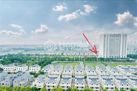Bán lô song lập VIP đối diện chung cư An Lạc Green Symphony. 20 tỷ bao full thuế phí!
