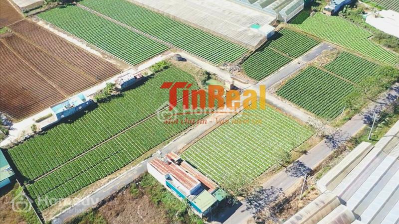 Cơ hội đầu tư - Tìm nơi nghỉ dưỡng  thoải mái gần Đà Lạt - Ảnh 4