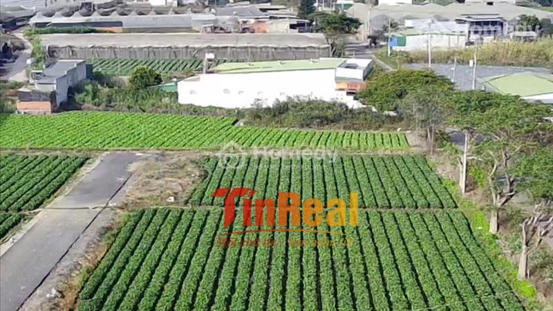 Cơ hội đầu tư - Tìm nơi nghỉ dưỡng  thoải mái gần Đà Lạt - Ảnh 2