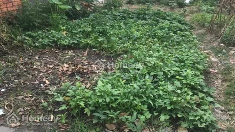 Lô đất Hiệp Thành 2, Thủ Dầu Một, Bình Dương - Ảnh 3
