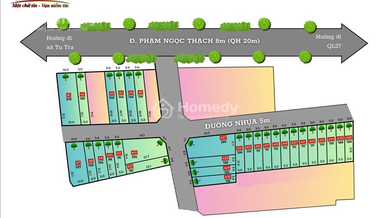 Cơ hội đầu tư - Tìm nơi nghỉ dưỡng  thoải mái gần Đà Lạt - Ảnh 3