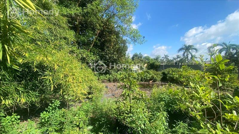 Cho thuê đất, nhà xưởng, kho bãi Huyện Hóc Môn - TP Hồ Chí Minh giá 7.00 Triệu - Ảnh 2