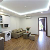Căn hộ 1 ngủ rộng cho thuê tại phố Đào Tấn, gần Lotte