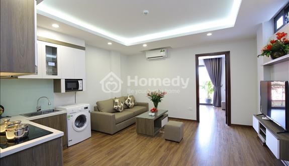 Căn hộ 1 ngủ rộng cho thuê tại phố Đào Tấn, gần Lotte - Ảnh 1