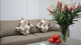 Căn hộ 1 ngủ rộng cho thuê tại phố Đào Tấn, gần Lotte - Ảnh 4