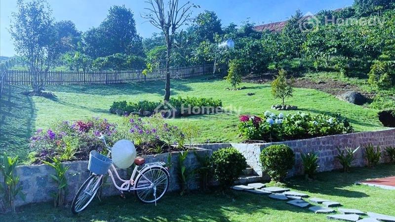 Đất nền nghỉ dưỡng 1000m2, view suối và hồ tự nhiên, sẵn sổ giá chỉ từ 1 triệu/m2 - Ảnh 2