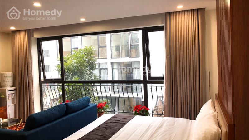 Căn hộ 1ngủ cho thuê phố đào tấn, view đẹp, ban công, nội thất mới, gần lotte - Ảnh 7