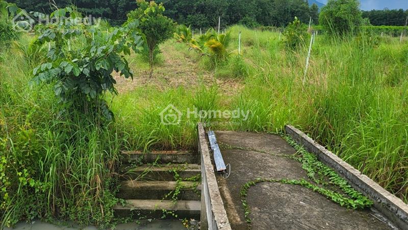 Thiên đường nghỉ dưỡng tại TP.Tây Ninh - có giá trị đầu tư cao - Ảnh 4