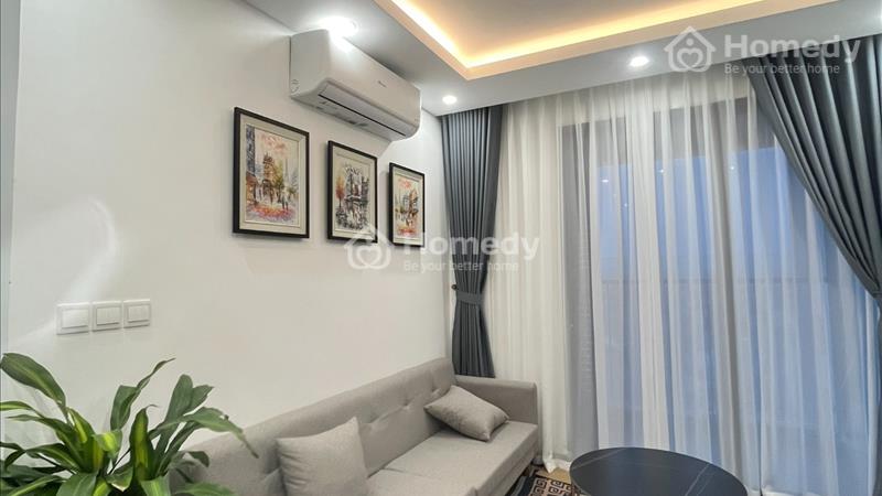 Cho thuê căn hộ 1.5 phòng ngủ đầy đủ nội thất mới tinh như hình tại Hoàng Huy Commerce, giá 10 tr - Ảnh 1