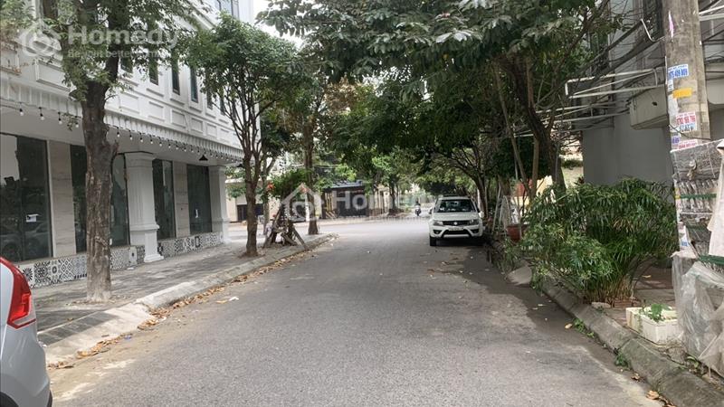 Bán lô đất biệt thự duy nhất tại khu đường 30 m (đường bên trên) khu 193 văn cao, hải phòng - Ảnh 2