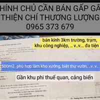 Mình Chính Chủ cần bán gấp 493m2 sổ hồng thổ cư Giá 1,7 tỷ đường nhựa Hòa Hiệp Nam Đông Hòa