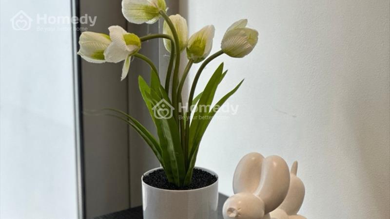 Cho thuê căn hộ 1pn full nội thất  xinh xắn - Ảnh 9