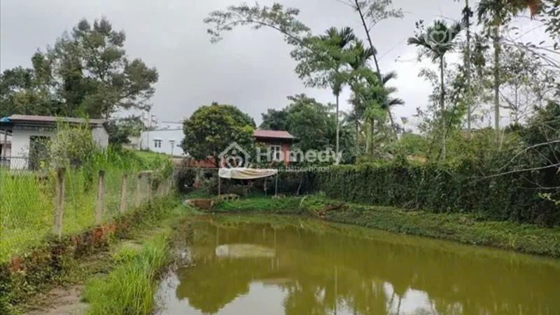 Cần bán gấp nhà vườn nghỉ dưỡng Hẻm Tây Sơn - Phường 2 - Tp. Bảo Lộc - Lâm Đồng - Ảnh 2